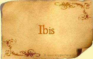 Ime Ibis