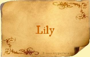 Ime Lily